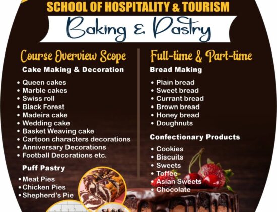 Fibs College & Driving School